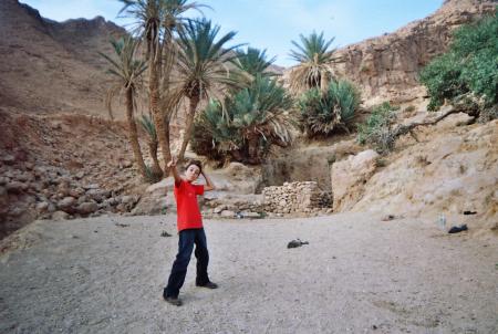 ain zerga
